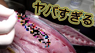 【閲覧注意】ブリの身からありえない長さの寄生虫が･･･ [upl. by Secor]