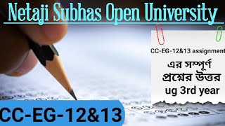 CCEG12amp13 Assignment Questions and Answers 2024  CCEG12amp13 Assignment Answer  NSOU UG 3rd year [upl. by Allegra770]