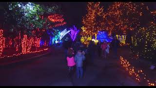 2021 PNC Festival of Lights Kicks Off  Cincinnati Zoo [upl. by Lorette]