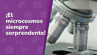 14 ¡El microcosmos siempre sorprendente • Saberes y pensamiento científico• 1er grado [upl. by Rooke]