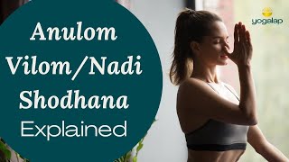 Anulom VilomNadi Shodhana Explained  Benefits and precautions  Pranayama with Michaël Bijker [upl. by Ahsirtak]