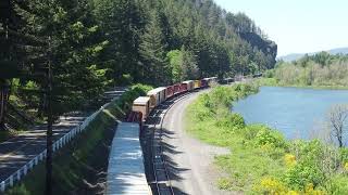 Union Pacific Mixed Freight  Ainsworth State Park Oregon [upl. by Bernardo902]