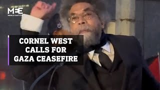 Cornel West calls for an immediate ceasefire in Gaza [upl. by Kwapong]