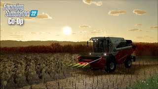 SUNSET SUNFLOWERS WITH MRS DONUT  Buy Clarksons Farm 12  COOP  Farming Simulator 22 [upl. by Sisxela282]