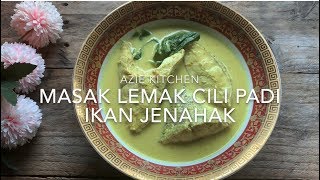 Masak Lemak Cili Api Ikan Jenahak [upl. by Ventre]