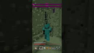 minecraft wither pet end island boring [upl. by Ytok]