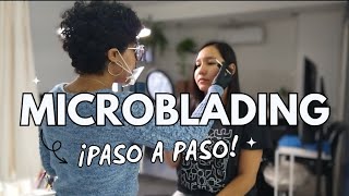 Microblading de Cejas 👁️ EXPECTATIVA vs REALIDAD 😲💆🏻‍♀️ Buenos Aires Argentina 🇦🇷 [upl. by Debee607]