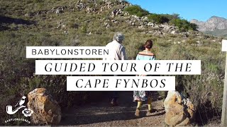 Guided Tour Of The Cape Floral Kingdom At Babylonstoren [upl. by Gillespie921]