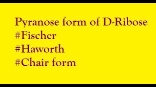 Pyranose form of D Ribose [upl. by Enetsuj755]