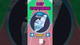 Pet Catchers THE GAMES SHINES TUTORIAL [upl. by Eicart958]