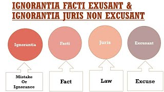 Ignorantia Facti Exusant and Ignorantia Juris non Excusant [upl. by Fillender]