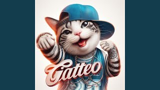 GATTEO [upl. by Ttayw]