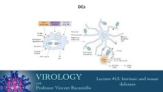 Virology 2014 lecture 13  Intrinsic and innate defenses [upl. by Anselme478]