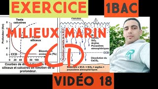 exercice  milieux de sédimentation marins 2 CCD 1BAC VIDEO 18 [upl. by Saoj]