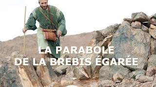 Parabole  la brebis égarée [upl. by Mahon316]