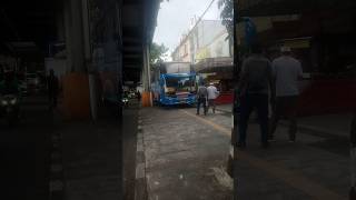 mandarava transshorts travel buspariwisata busmania bustours basuri [upl. by Gad]