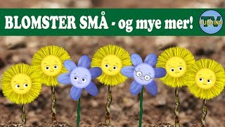 Blomster små  og mye mer  Norske barnesanger [upl. by Nortal208]