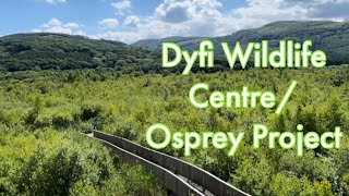 Dyfi Wildlife CentreOsprey Project [upl. by Atsirc]