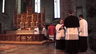 Traditional Latin Mass  Vadstena Pilgrimage 2013III [upl. by Reivax]