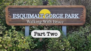 Esquimalt Gorge Park Part Two walkingvideo [upl. by Easter]