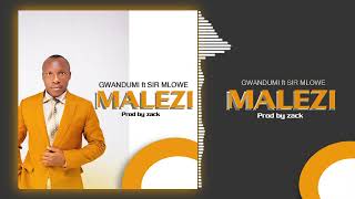 MALEZI Gwandumi ft Sir Mlowe [upl. by Nnauol]