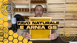 Avviamento allApicoltura con Favo Naturale e Arnia GS [upl. by Assirek]