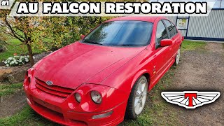 INSANE AU FALCON RESTORATION [upl. by Silenay]