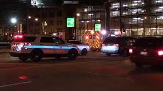 Police investigating Streeterville robberies [upl. by Bara271]