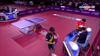 Zhang Jike vs Wang Hao final WTTC 2013 Paris HD [upl. by Iphigenia]