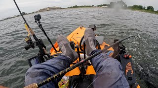 Some Fluke and Weakfish action in Jamaica Bay [upl. by Nyliahs]