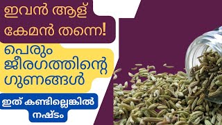 Health benefits of Fennel Seeds Malayalam health tips healthtips Malayalamhealthtips [upl. by Rossy]