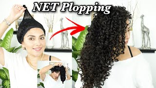 Net Plopping My 3a 3b Curls Extreme Definition Best Technique Ever  Wash N Go [upl. by Ecargyram]