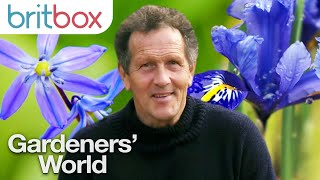 How To Keep Your Garden Blooming With Flowers Throughout Winter  Gardeners World 2020 [upl. by Hilleary355]