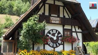 Worlds Very First Biggest Cuckoo Clock  1 Weltgrößte Kuckucksuhr Schonach Germany 2018 [upl. by Marcile]