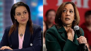 Lefties losing it Kamala’s ‘reckless’ and ‘disgusting’ antiTrump rhetoric [upl. by Merrill]