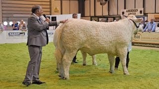 Charolais National Show at the Livestock Event July 3rd 2013 [upl. by Leno505]