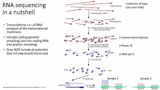 2022 MCB 182 Lecture 6  Transcriptomics [upl. by Nnyrat]