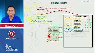 Evaluación Gestacional Monitoreo Fetal [upl. by Luana732]