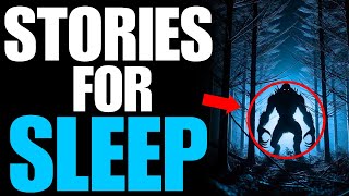 True Scary Stories For Sleep With Rain Sounds  True Horror Stories  Fall Asleep Quick [upl. by Sylram964]