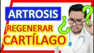 💥ARTROSIS DE RODILLA 👀¿Cómo REGENERAR el CARTILAGO ⚠️se puede REGENERAR⚠️ treatment knee [upl. by Richmound]