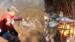 24 horas de pesca  supervivencia y campamento  así se pesca tu propio alimento en el río pica pico [upl. by Tiffanle140]