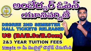 Ambedkar Open University UG 2nd Semister examination hall tickets released  BRAOU [upl. by Anilehcim]