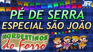 Pé de Serra  Especial São João  Nordestinos do Forró [upl. by Mook]