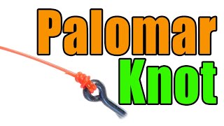 How To Tie Palomar Knot  Line To LureFly  Best Fishing Knots [upl. by Eberto875]