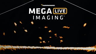 MEGA Live Imaging™  MEGA Imaging in Live Motion  Humminbird [upl. by Darrelle]