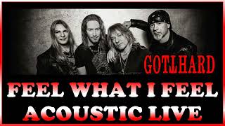 Gotthard  Feel What I Feel Acoustic Live [upl. by Erodoeht]