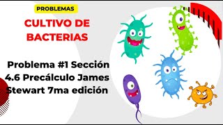 MODELADO CON FUNCIONES EXPONENCIALES  CULTIVOS DE BACTERIAS [upl. by Lekzehcey]