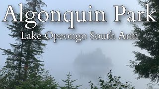 ALGONQUIN PARK  Lake Opeongo  South Arm 🇨🇦4K [upl. by Casteel]