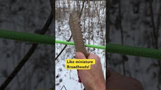 The Truth About the Serrated Blade serratedknife serratedknives serrations cuttingskills [upl. by Bain]