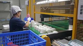 Bagasse Cup Lids Mass Production [upl. by Mcilroy]